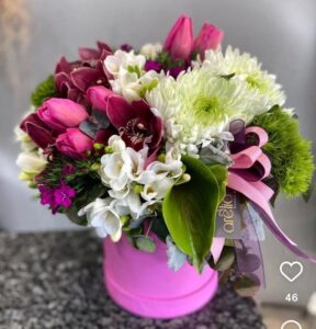 Görseldeki ürün; fuşya renkli silindir kutu içerisinde mor orkideler (Cymbidium), pembe lale ve karanfiller, beyaz krizantemler ve egzotik yeşil dokuların (Antoryum yaprağı ve yeşil karanfiller) bir araya geldiği, oldukça zengin içerikli ve enerjik bir "Box" (Kutu) aranjmanıdır. Malatya’da bu tarz kutu aranjmanları özellikle hastane ziyaretleri, ofis masaları ve doğum günleri için çok tercih ediliyor